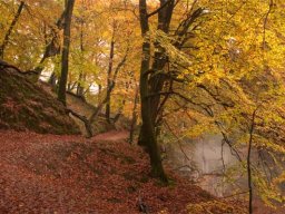 IMGP3750-Langs-Moellseoen